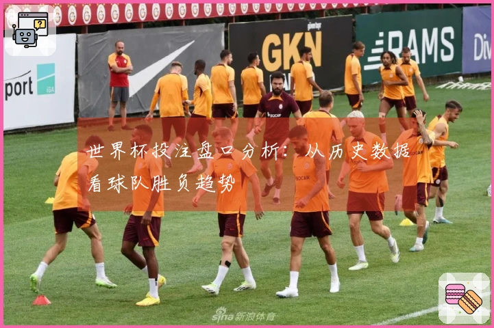 世界杯投注盘口分析：从历史数据看球队胜负趋势
