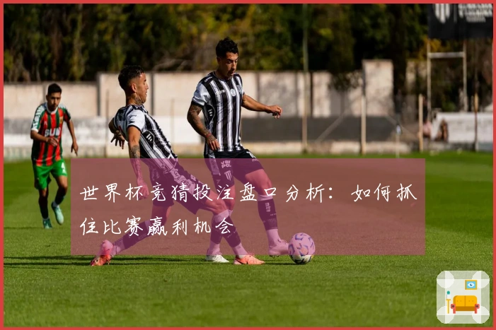 世界杯竞猜投注盘口分析：如何抓住比赛赢利机会