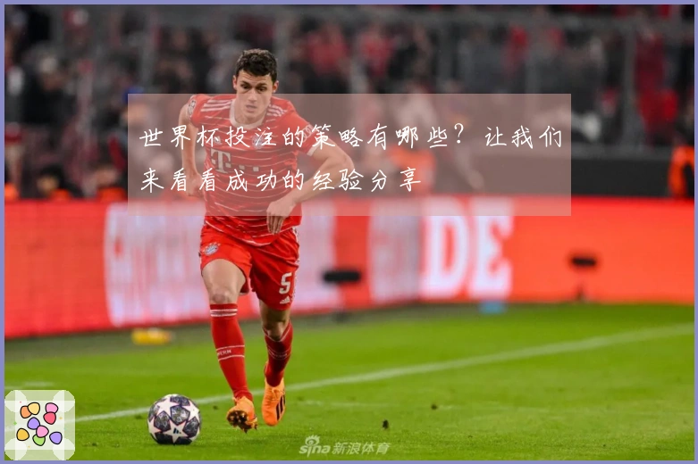 世界杯投注的策略有哪些？让我们来看看成功的经验分享
