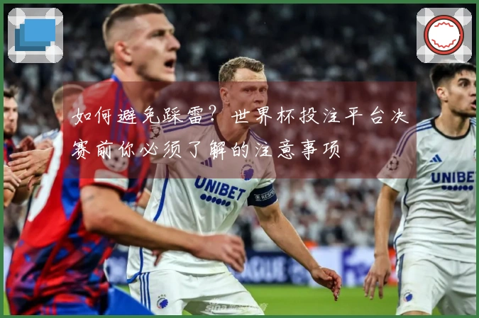 如何避免踩雷？世界杯投注平台决赛前你必须了解的注意事项