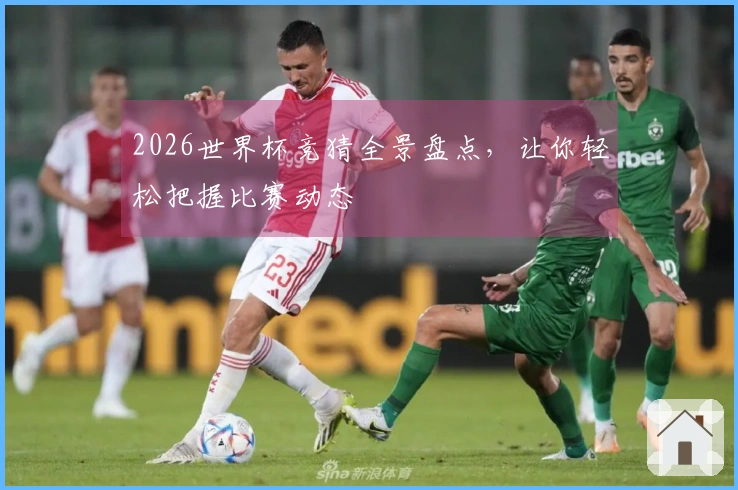 2026世界杯竞猜全景盘点，让你轻松把握比赛动态