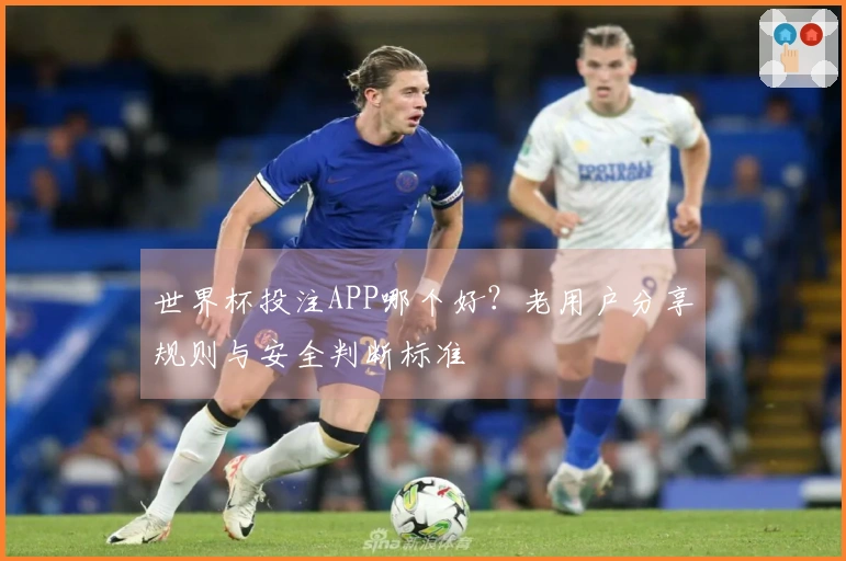 世界杯投注APP哪个好？老用户分享规则与安全判断标准