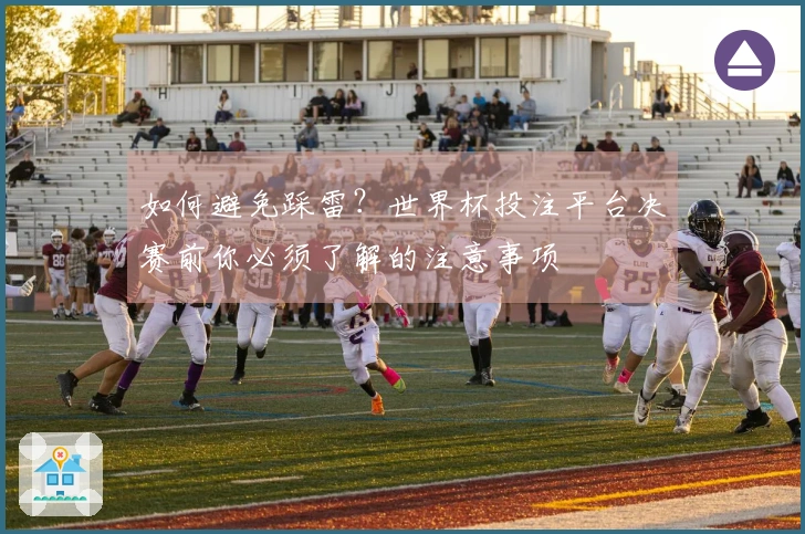 如何避免踩雷？世界杯投注平台决赛前你必须了解的注意事项
