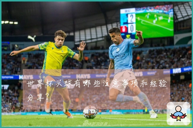世界杯买球有哪些注意事项和经验分享？