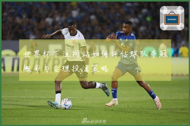 世界杯下注网站如何评估球队夺冠概率与合理投注策略