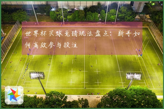 世界杯买球竞猜玩法盘点：新手如何高效参与投注