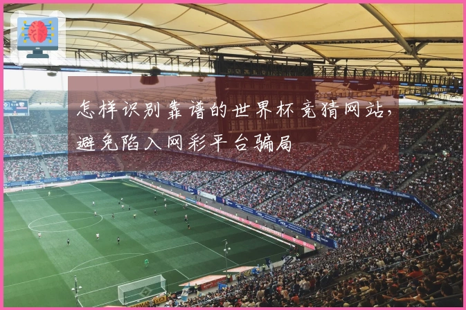 怎样识别靠谱的世界杯竞猜网站，避免陷入网彩平台骗局