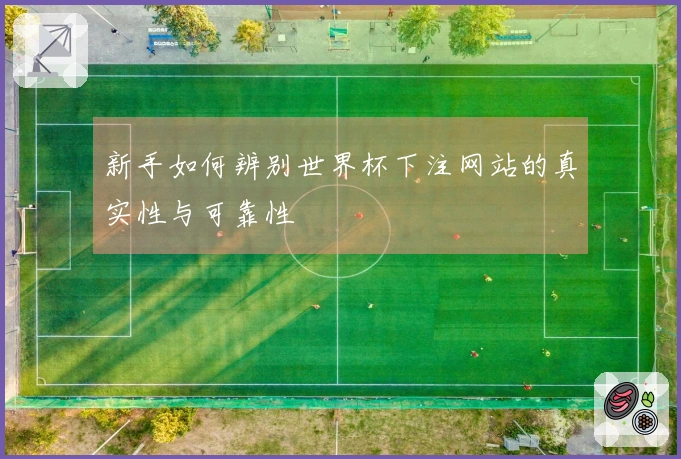 新手如何辨别世界杯下注网站的真实性与可靠性