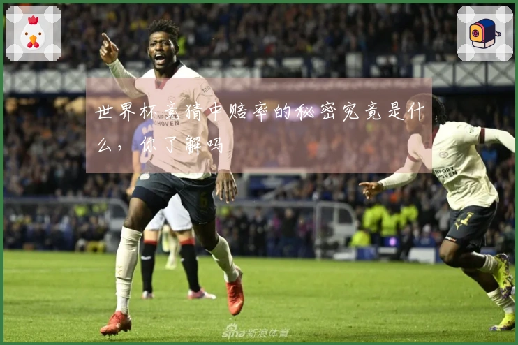 世界杯竞猜中赔率的秘密究竟是什么，你了解吗