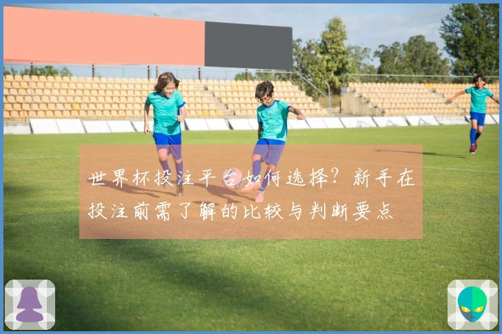 世界杯投注平台如何选择？新手在投注前需了解的比较与判断要点
