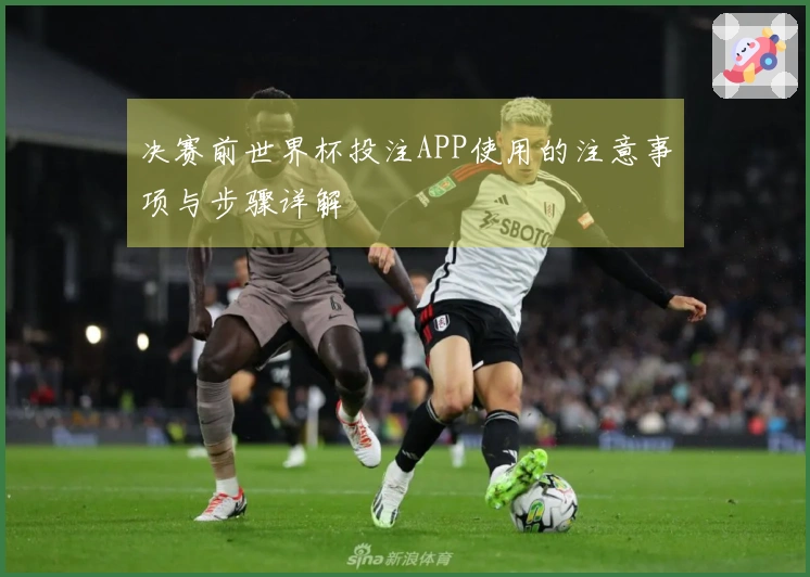 决赛前世界杯投注APP使用的注意事项与步骤详解