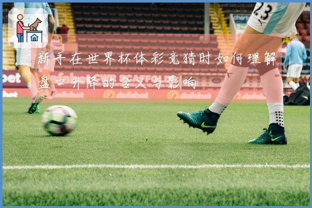新手在世界杯体彩竞猜时如何理解盘口升降的含义与影响