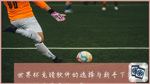 世界杯竞猜软件的选择与新手下注的关键步骤是什么？