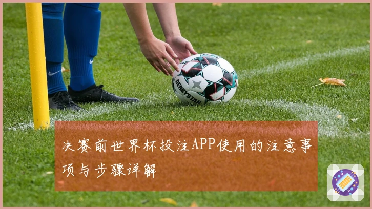 决赛前世界杯投注APP使用的注意事项与步骤详解