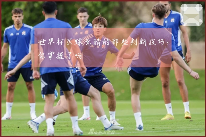 世界杯买球竞猜的那些判断技巧,你掌握了吗