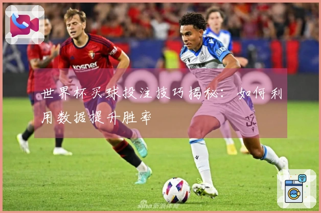 世界杯买球投注技巧揭秘：如何利用数据提升胜率