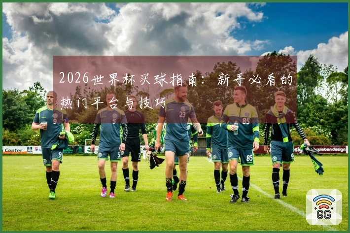 2026世界杯买球指南：新手必看的热门平台与技巧