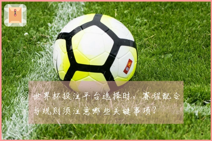 世界杯投注平台选择时，赛程配合与规则须注意哪些关键事项？