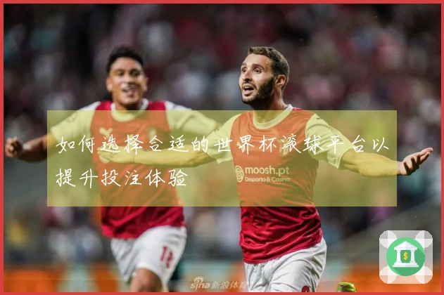 如何选择合适的世界杯滚球平台以提升投注体验
