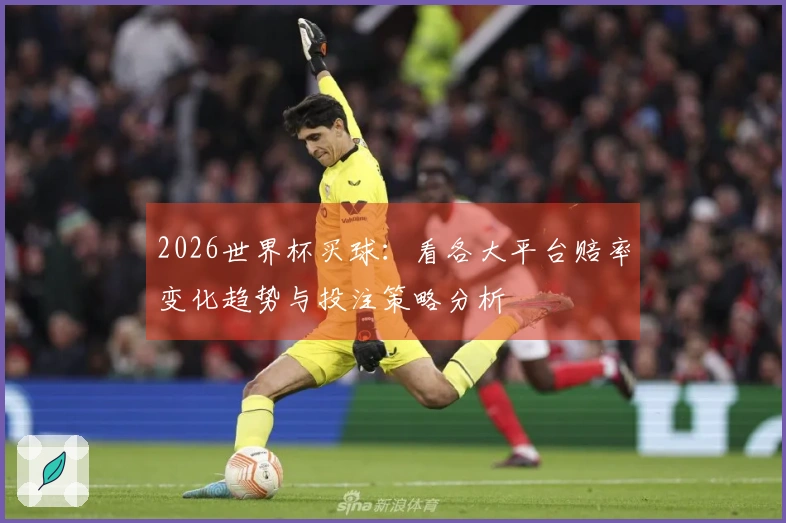 2026世界杯买球：看各大平台赔率变化趋势与投注策略分析