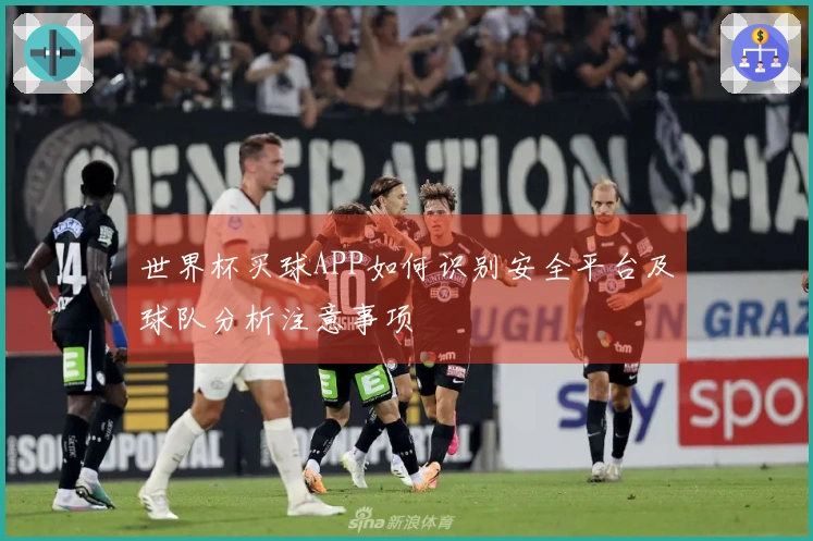 世界杯买球APP如何识别安全平台及球队分析注意事项