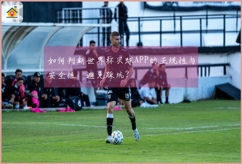 如何判断世界杯买球APP的正规性与安全性，避免踩坑？