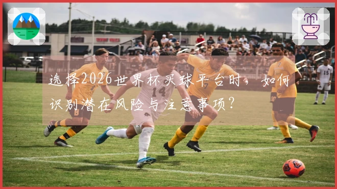 选择2026世界杯买球平台时，如何识别潜在风险与注意事项？