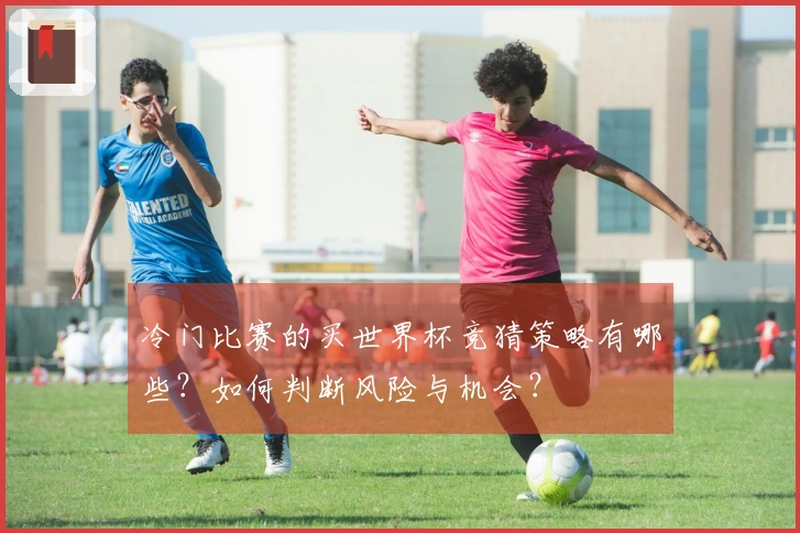 冷门比赛的买世界杯竞猜策略有哪些？如何判断风险与机会？