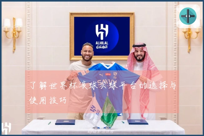 了解世界杯滚球买球平台的选择与使用技巧