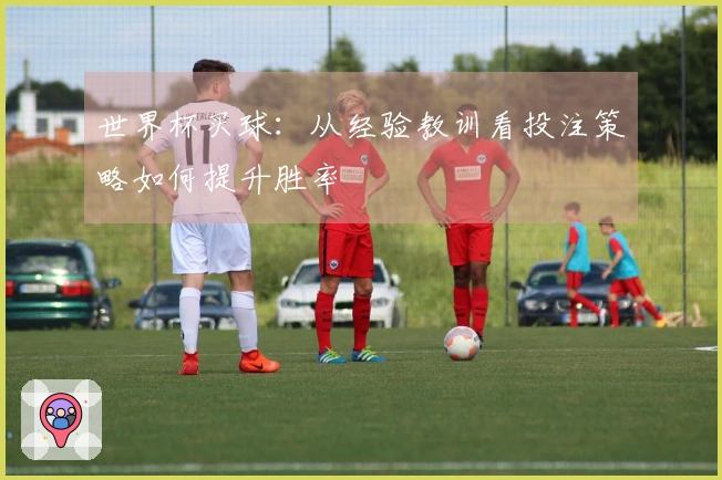 世界杯买球：从经验教训看投注策略如何提升胜率