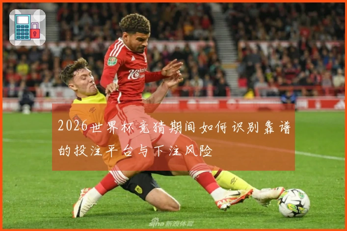 2026世界杯竞猜期间如何识别靠谱的投注平台与下注风险