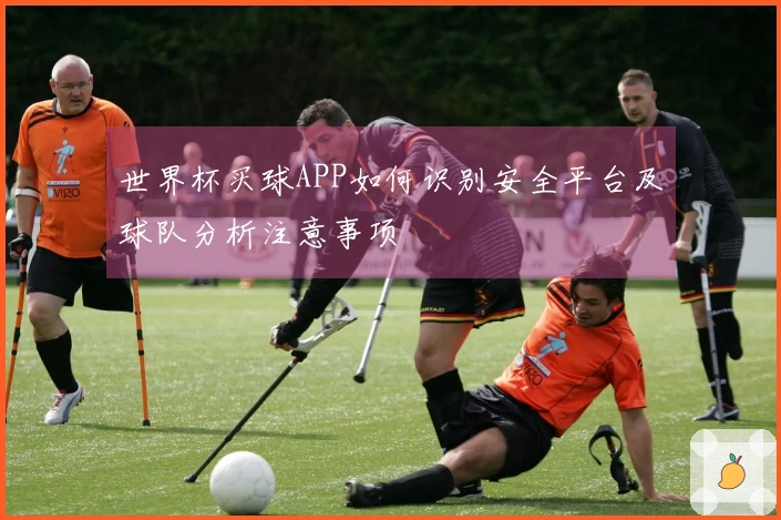 世界杯买球APP如何识别安全平台及球队分析注意事项