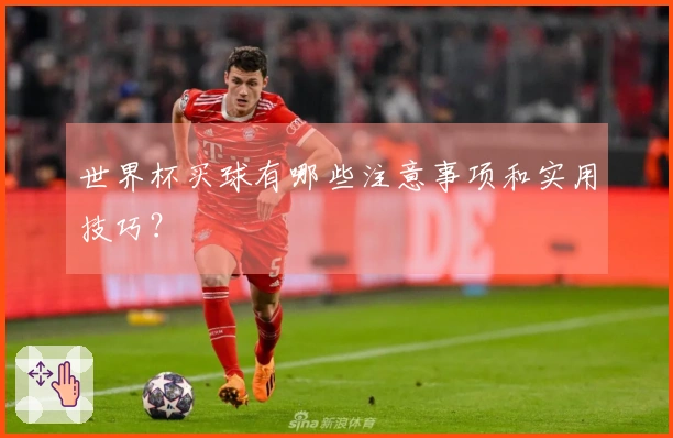 世界杯买球有哪些注意事项和实用技巧?