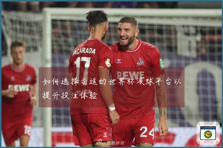 如何选择合适的世界杯滚球平台以提升投注体验