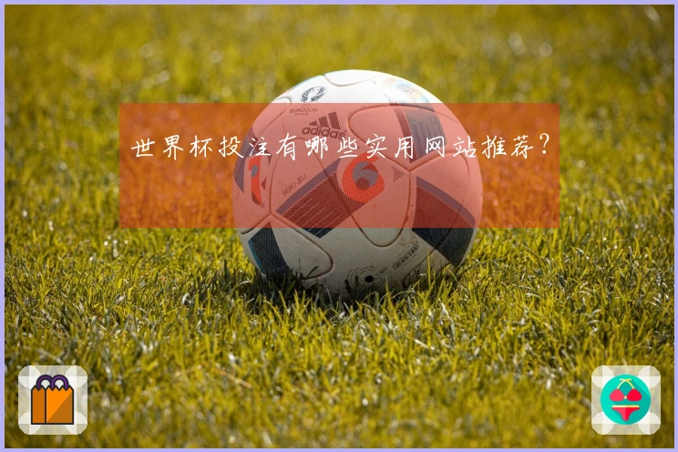 世界杯投注有哪些实用网站推荐?