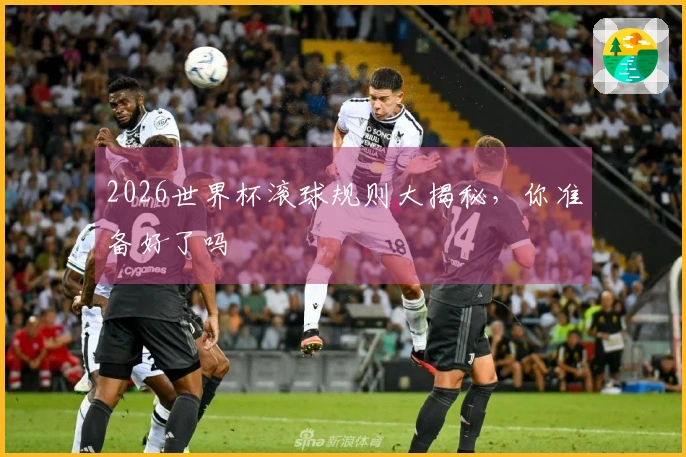 2026世界杯滚球规则大揭秘，你准备好了吗
