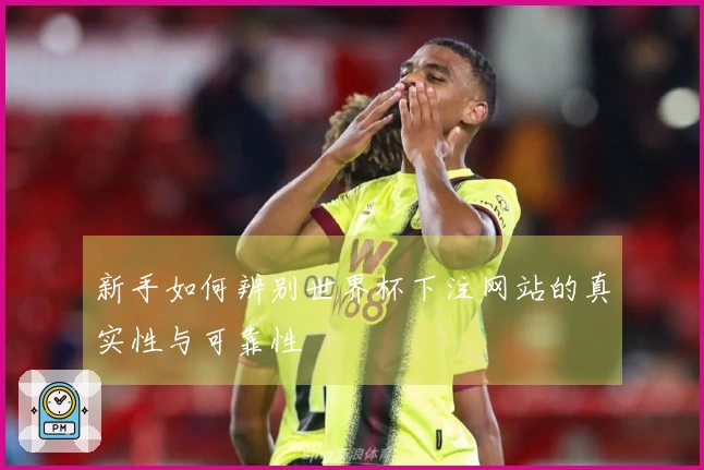 新手如何辨别世界杯下注网站的真实性与可靠性